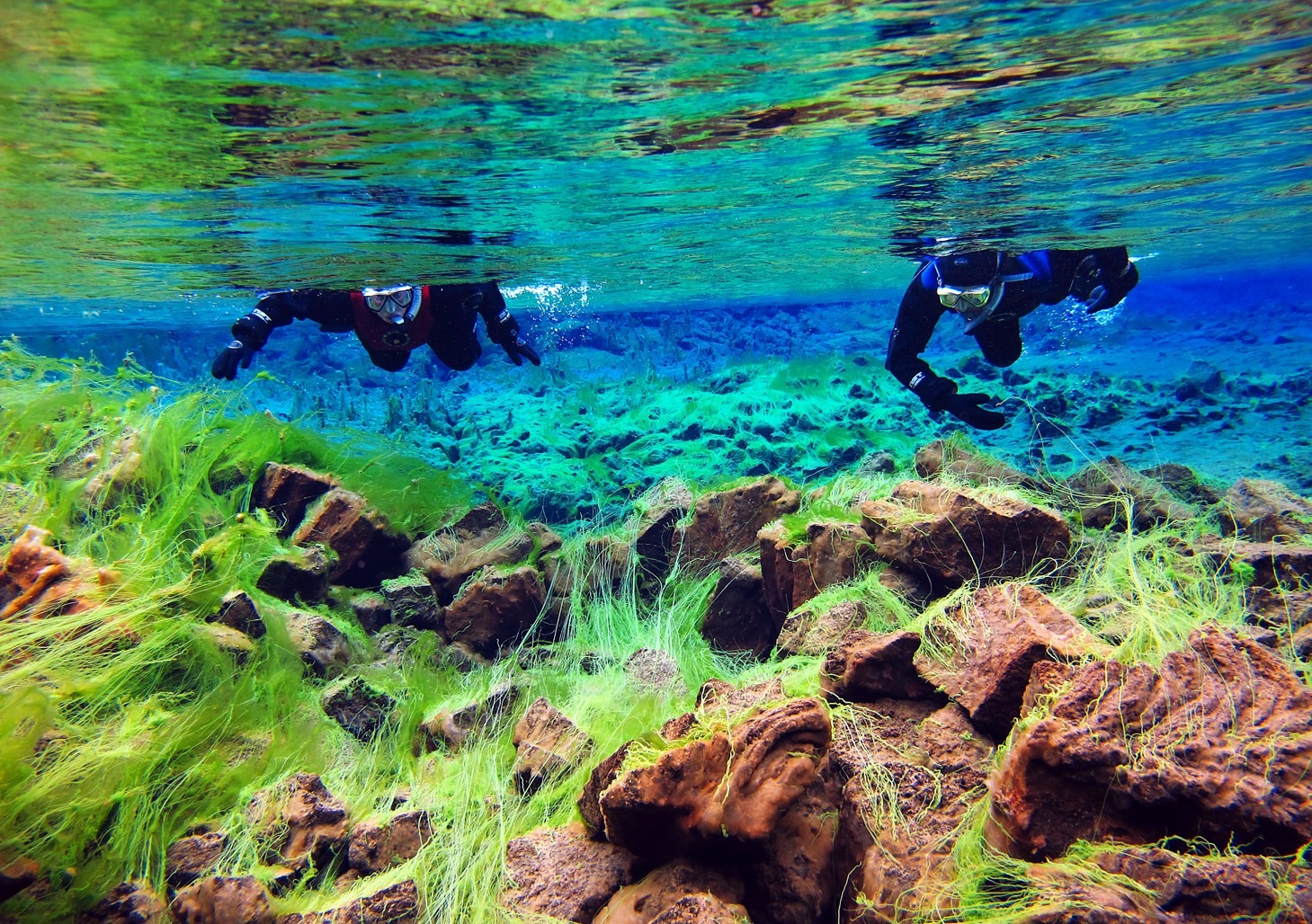 Clearest waters in Silfra - The Best Day Trips From Reykjavik