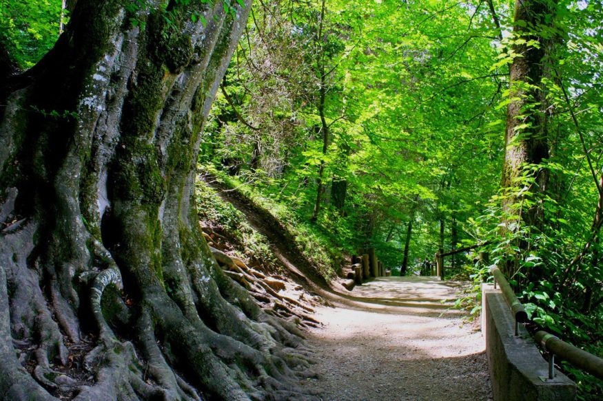 Gorges-du-Fier, Annecy