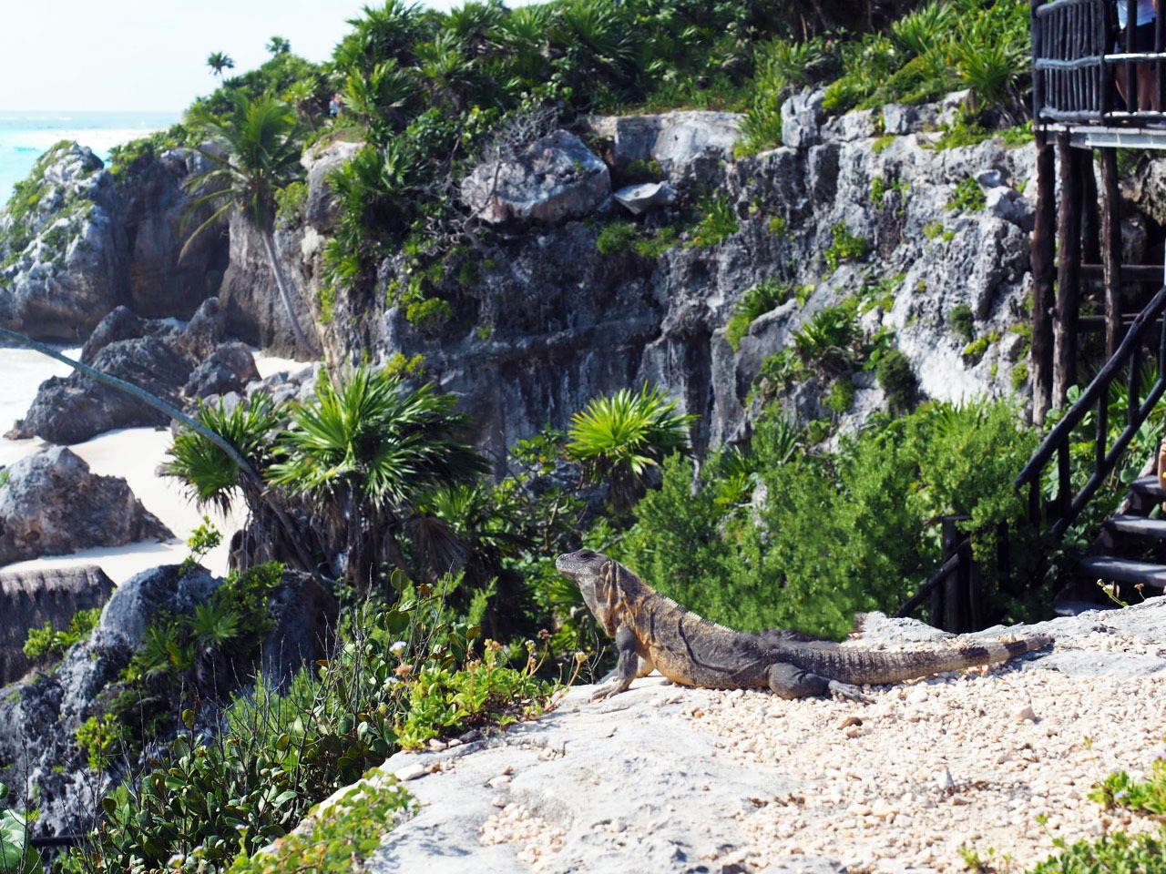 Things to do in Tulum