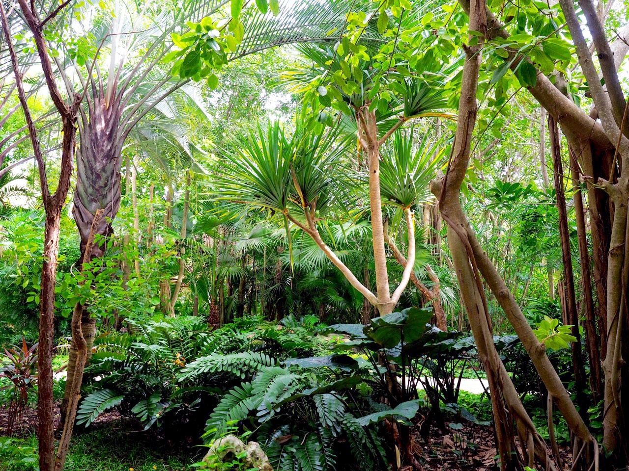 Blue Diamond Riviera Maya